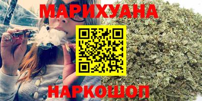 стафф Кингисепп