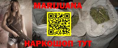 стафф Кингисепп