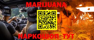 стафф Кингисепп