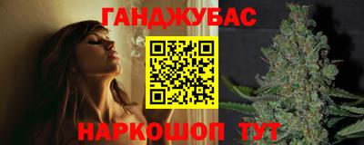 стафф Кингисепп