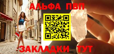стафф Кингисепп