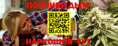 стафф Кингисепп