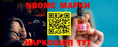 стафф Кингисепп