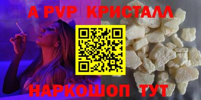 стафф Кингисепп