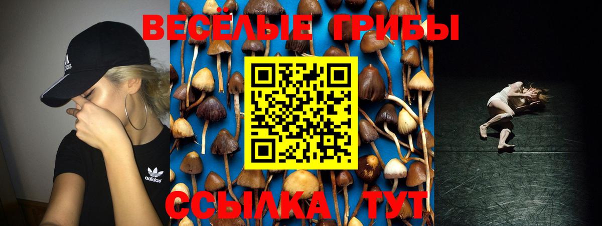 что такое   Вход с VPN  Псилоцибиновые грибы мицелий  Черняховск  Псилоцибиновые грибы Magic Shrooms 