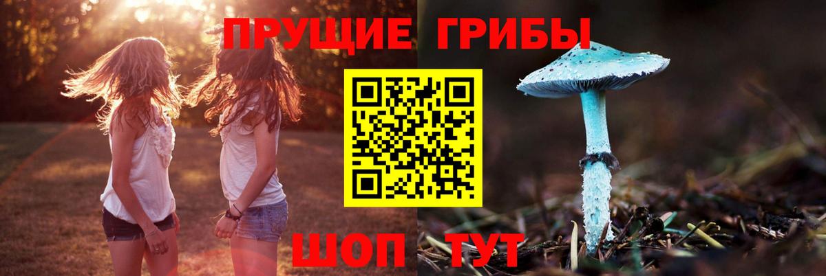 Псилоцибиновые грибы мухоморы Черняховск